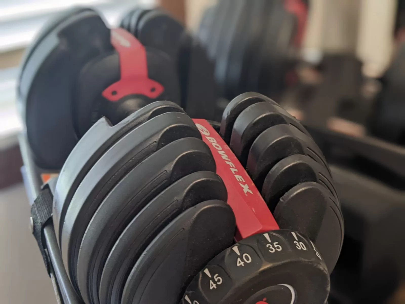 Bowflex SelectTech 552 Dumbbells