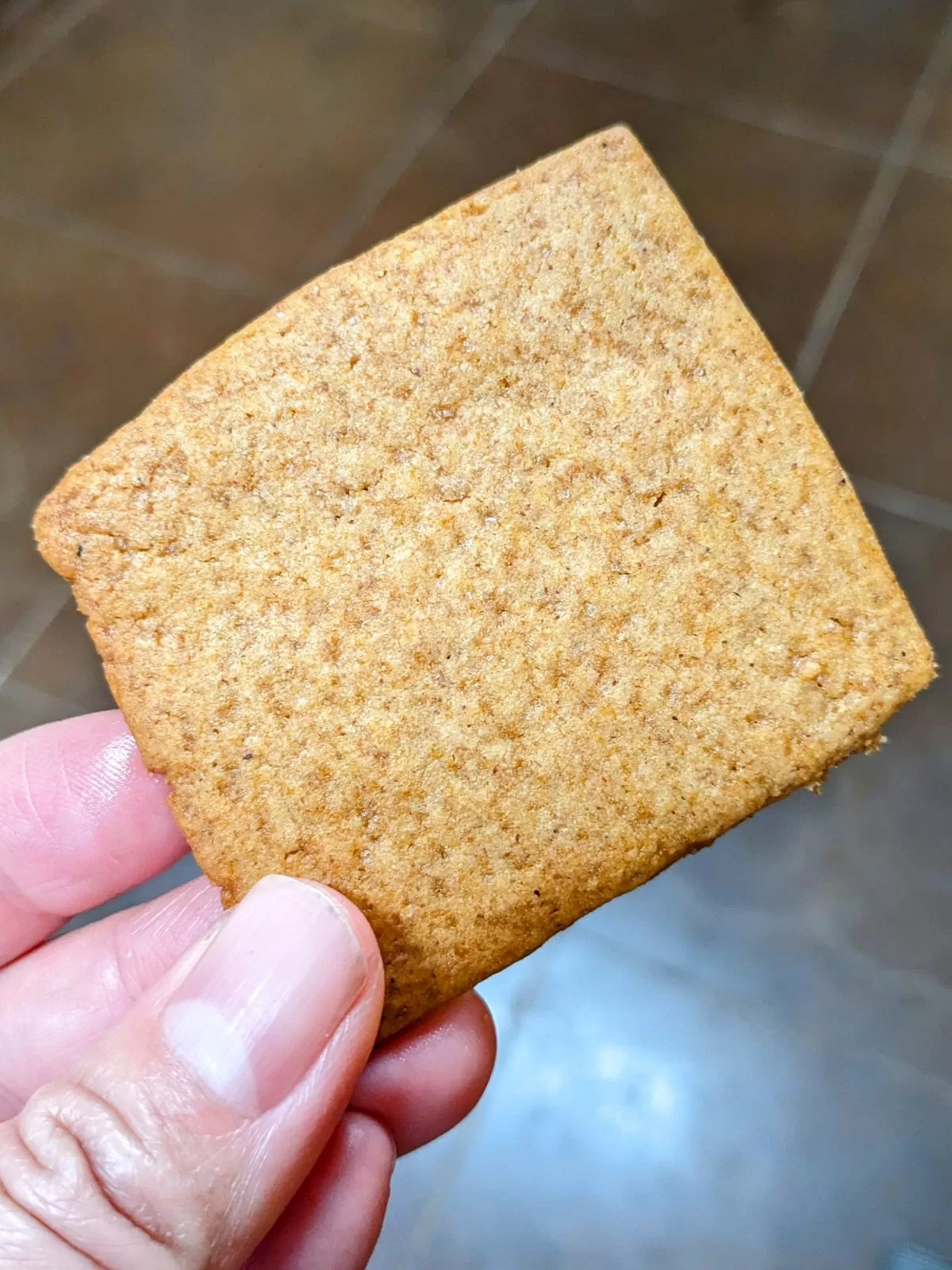 hand holding a single homemade graham cracker