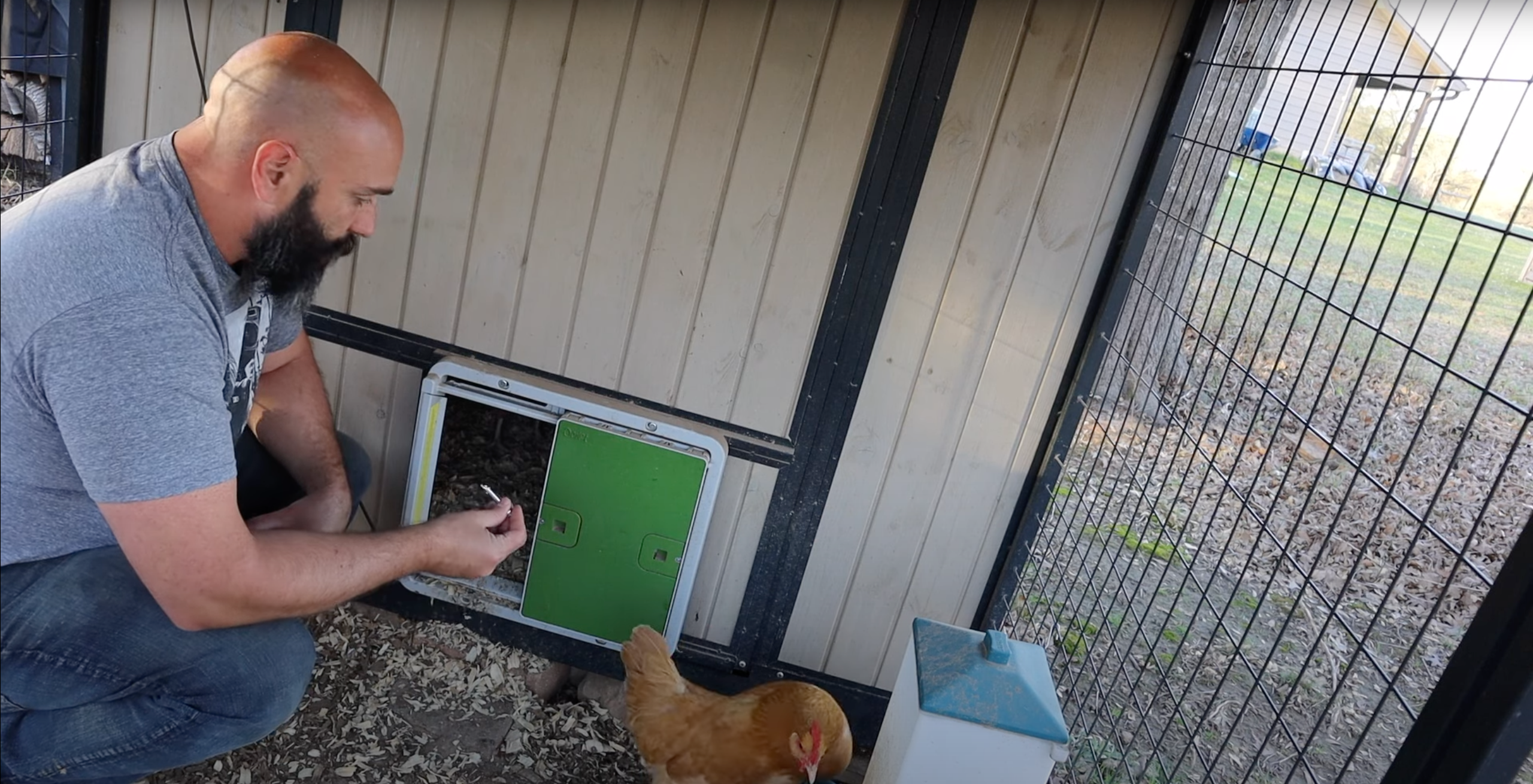 How we upgraded our Producers Pride XL Sentinel Chicken Coop