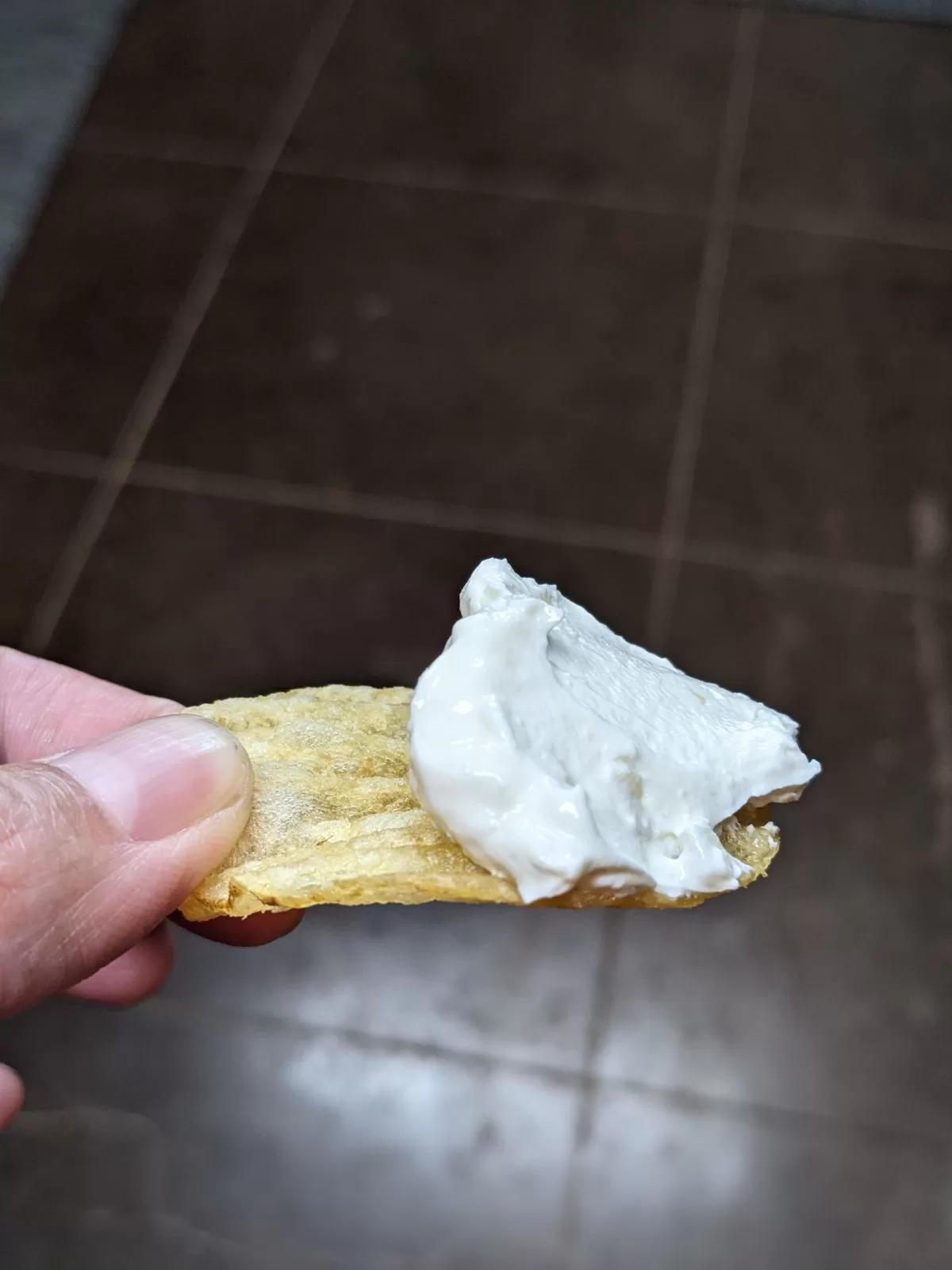 homemade onion dip on a chip